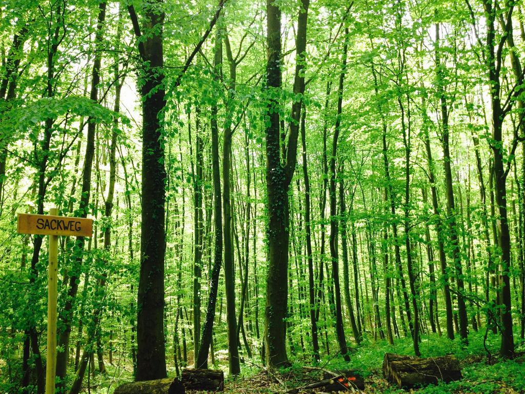 Schwarzwald Domizil Uhlsberg Lägenhet Kippenheim Exteriör bild