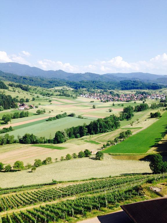 Schwarzwald Domizil Uhlsberg Lägenhet Kippenheim Exteriör bild