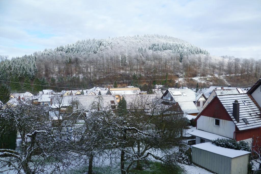 Schwarzwald Domizil Uhlsberg Lägenhet Kippenheim Exteriör bild