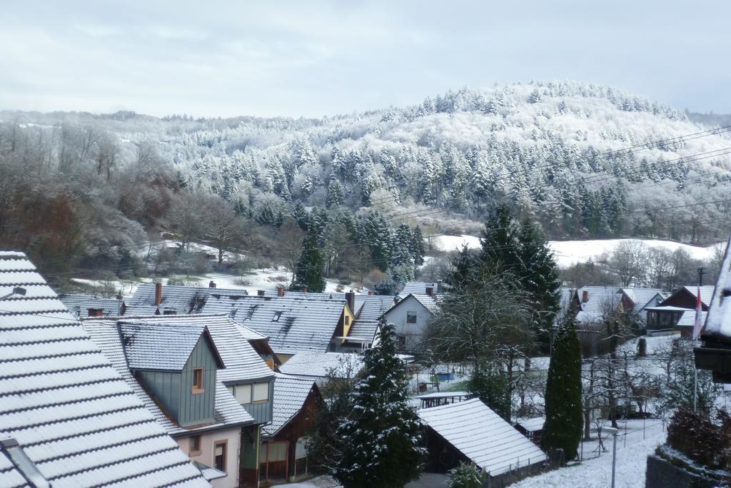 Schwarzwald Domizil Uhlsberg Lägenhet Kippenheim Rum bild
