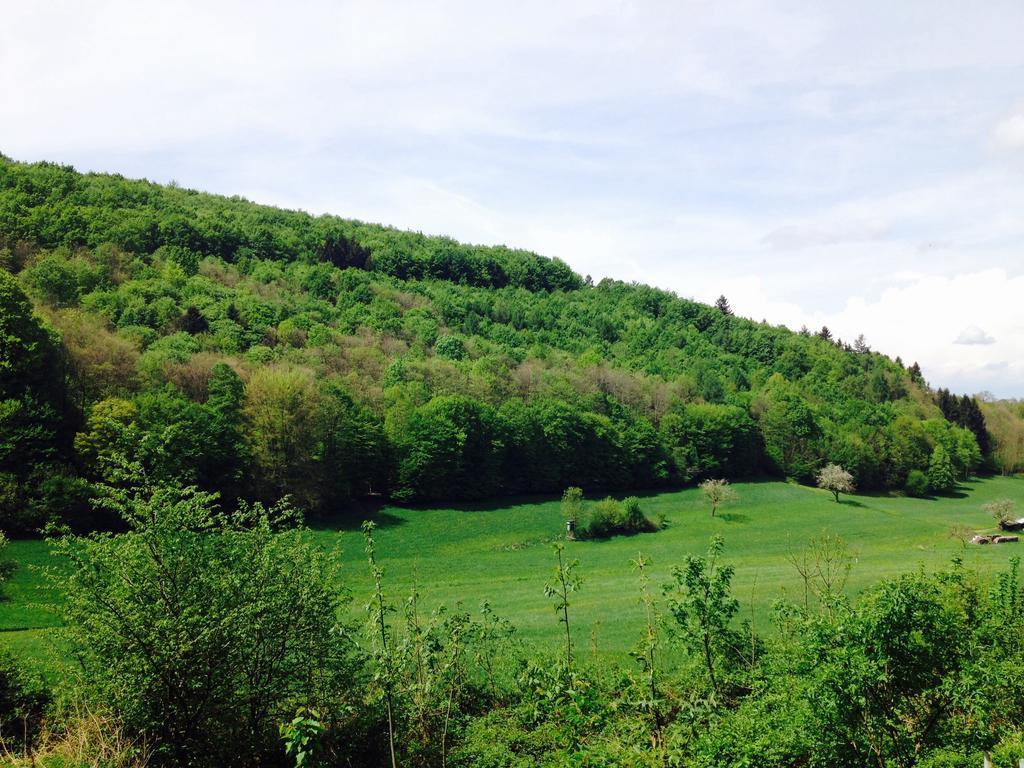 Schwarzwald Domizil Uhlsberg Lägenhet Kippenheim Exteriör bild