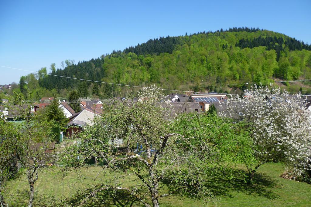 Schwarzwald Domizil Uhlsberg Lägenhet Kippenheim Rum bild