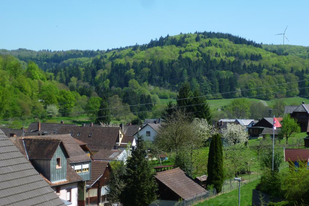 Schwarzwald Domizil Uhlsberg Lägenhet Kippenheim Rum bild