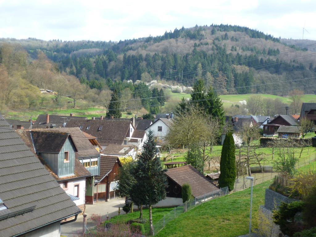 Schwarzwald Domizil Uhlsberg Lägenhet Kippenheim Rum bild