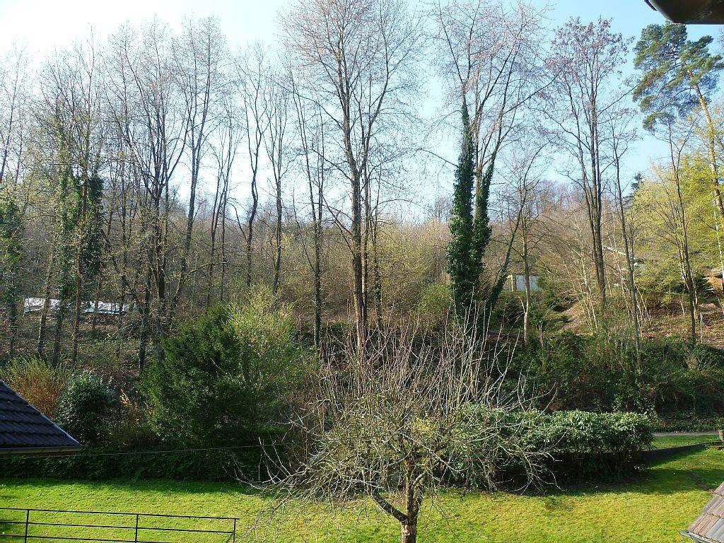 Schwarzwald Domizil Uhlsberg Lägenhet Kippenheim Exteriör bild