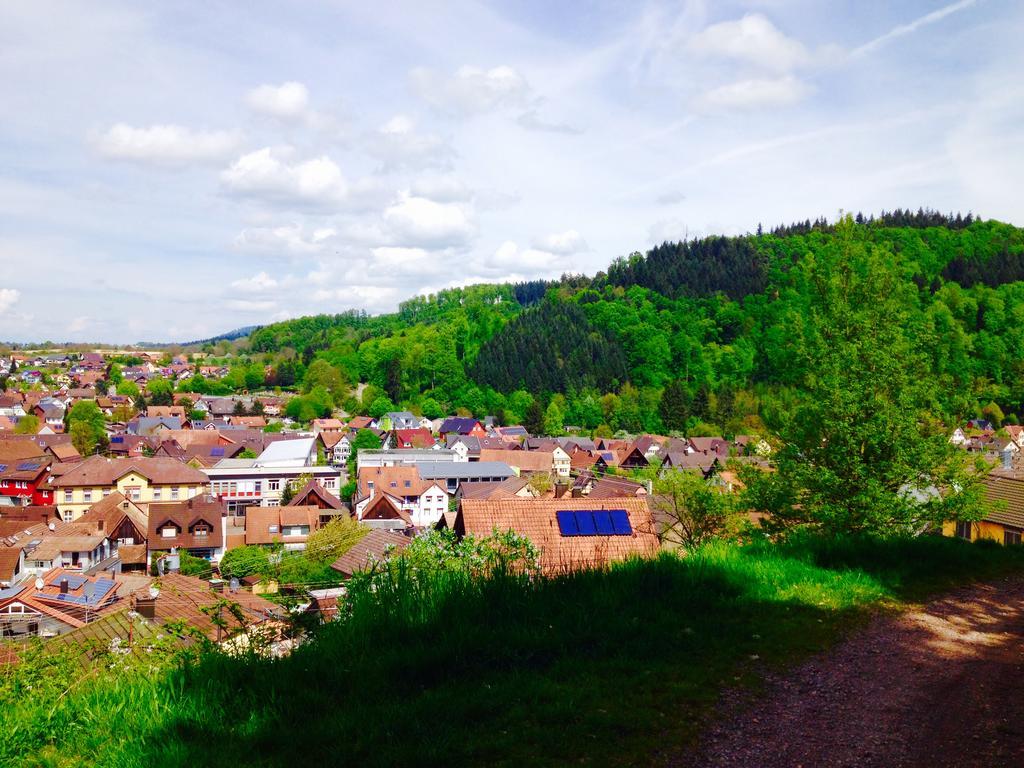 Schwarzwald Domizil Uhlsberg Lägenhet Kippenheim Exteriör bild