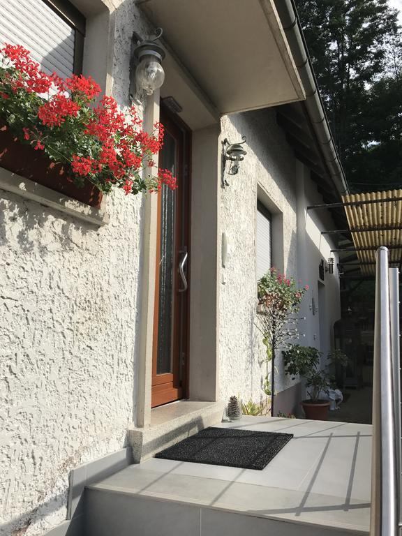 Schwarzwald Domizil Uhlsberg Lägenhet Kippenheim Exteriör bild